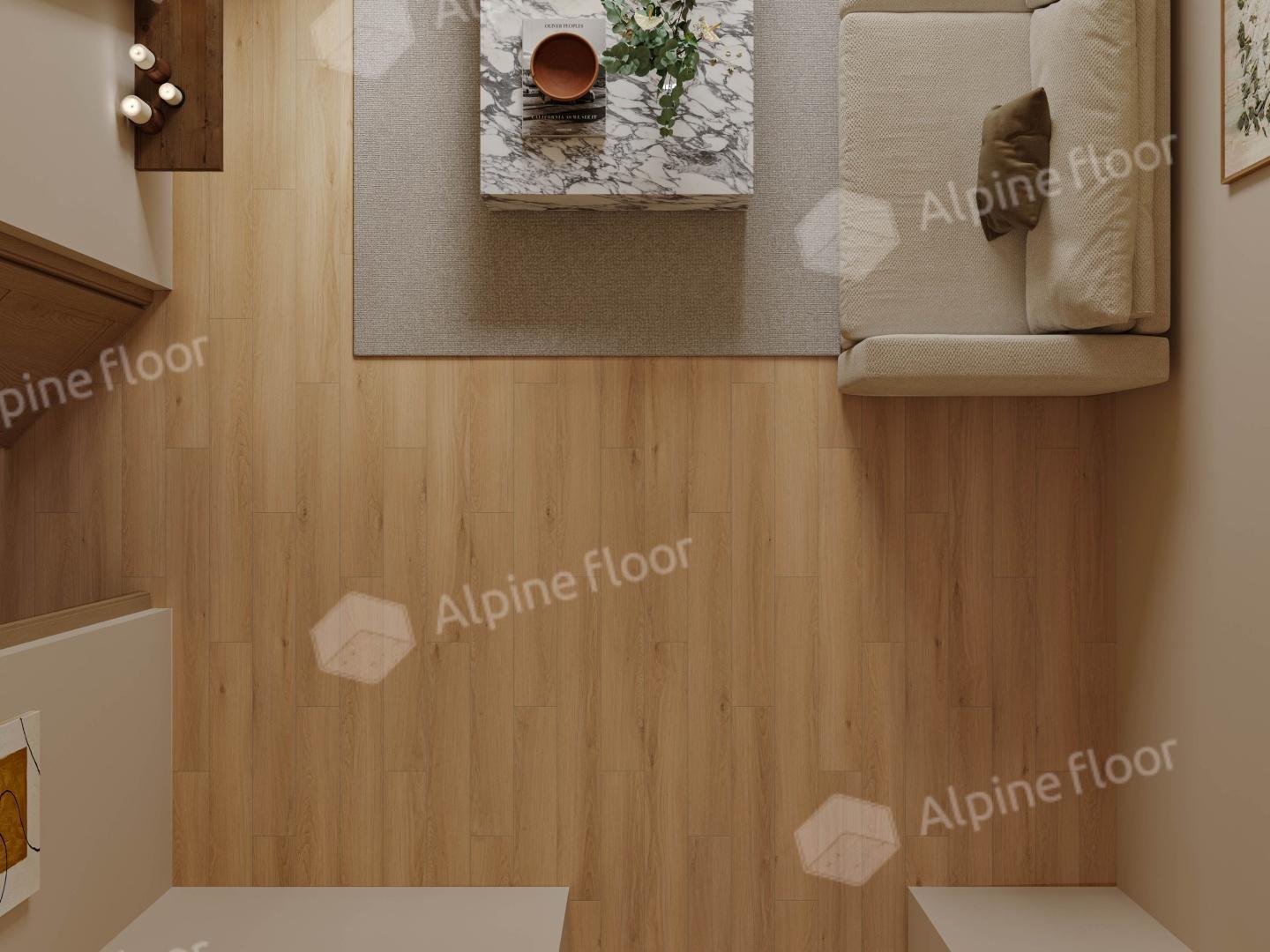 https://bitrix.alpinestore.su/upload/iblock/274/xxd6wdgmujppf65ffc00lzq3ejpl6fvw/Rakurs2.JPG