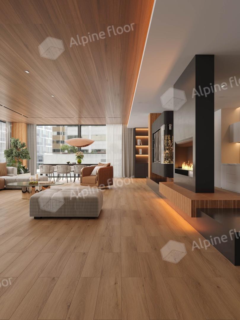 https://bitrix.alpinestore.su/upload/iblock/339/bt0w5nakg3c9nl7o80sr9fxsx6kh42up/Rakurs3.JPG