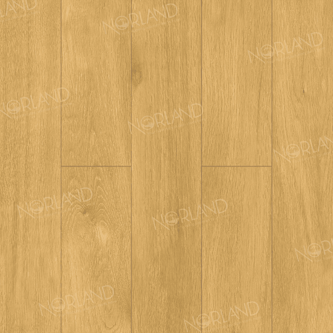 https://bitrix.alpinestore.su/upload/iblock/19b/dxn072exo3n1kw3e61ilctgs0kgibbbv/LF301_12_3_11zon.png