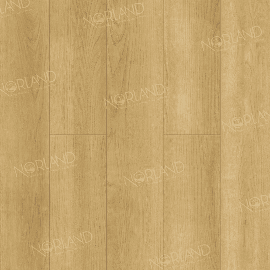 https://bitrix.alpinestore.su/upload/iblock/27b/wyvnar5kiay0nda1xlzz2mqfpmqliruq/LF301_06_3_11zon.png