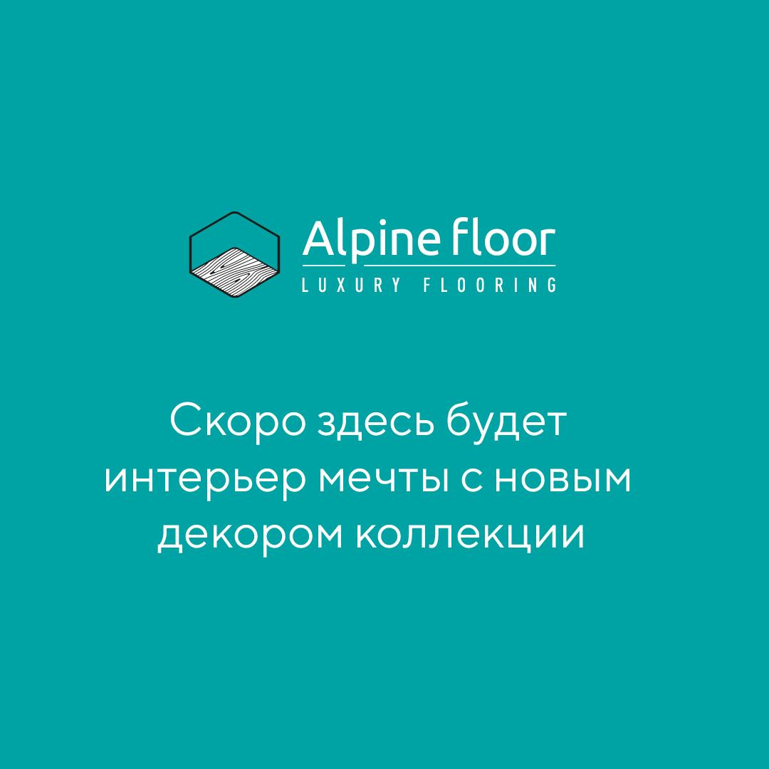 https://bitrix.alpinestore.su/upload/iblock/673/qltp1gfz8azkdmk9s0hcuwmwu35g3wx2/alpine.jpg