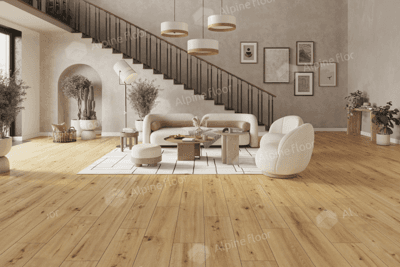 https://bitrix.alpinestore.su/upload/iblock/6d4/x9k9rr4gbzh0kaa2c5qjdre9z0kn291j/62541-_-Pro-Nature-_-Soacha-_-DK8229F28-_-246mm_1.png