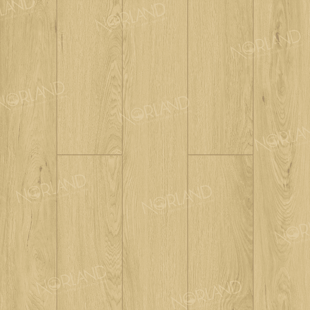 https://bitrix.alpinestore.su/upload/iblock/717/06s2khusm7iwwqmrrm1q6h6l4cmi540q/LF301_05_3_11zon.png
