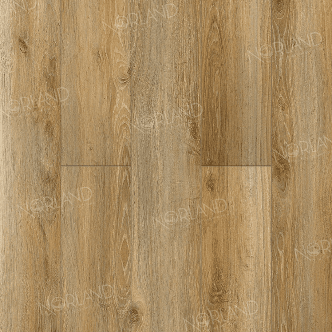 https://bitrix.alpinestore.su/upload/iblock/836/3f8xz3h0cw0amqrv7wpfplkcvpcfvx50/LF301_11_3_11zon.png