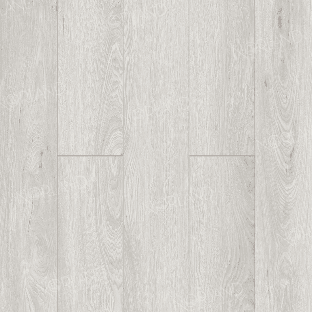 https://bitrix.alpinestore.su/upload/iblock/88f/l8tvlzgth08q0xhrgb6kljfjm13j4d5x/LF301_15_3_11zon.png