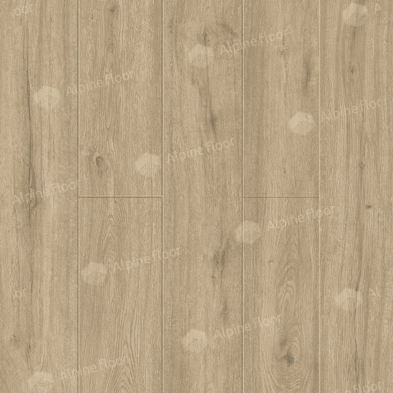 https://bitrix.alpinestore.su/upload/iblock/a06/l39slcjned41hdiuh7i7yv5qtohobhwe/14_1001.png