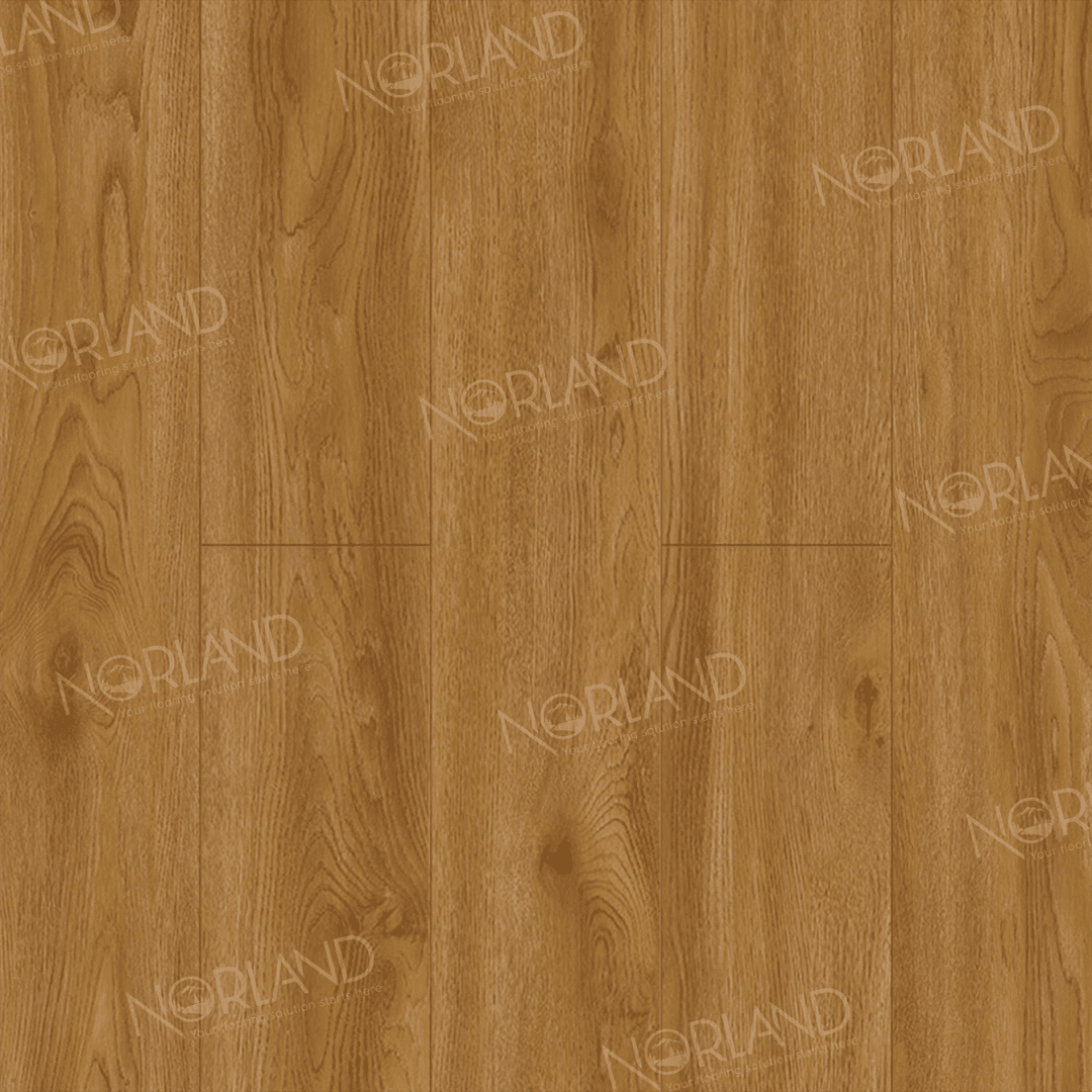 https://bitrix.alpinestore.su/upload/iblock/ba8/pj96kh0f23gt1tuprbn3o1udgdyui4sx/LF301_10_3_11zon.png