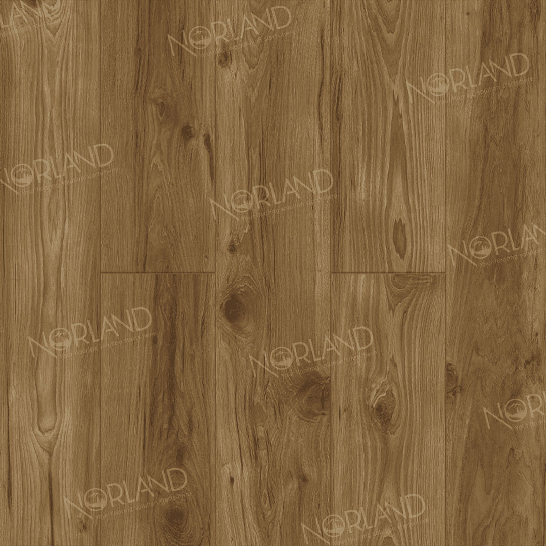 https://bitrix.alpinestore.su/upload/iblock/cc7/rgesfru8tyhtk02jju4bsik3kkw73qps/LF301_18_3_11zon.png