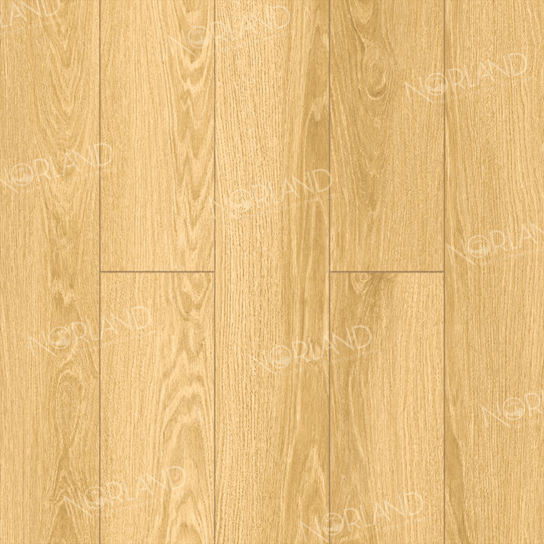 https://bitrix.alpinestore.su/upload/iblock/d4b/3c3vsutgpldanzbsck2zeb0rqzusqjsh/LF301_07_3_11zon.png