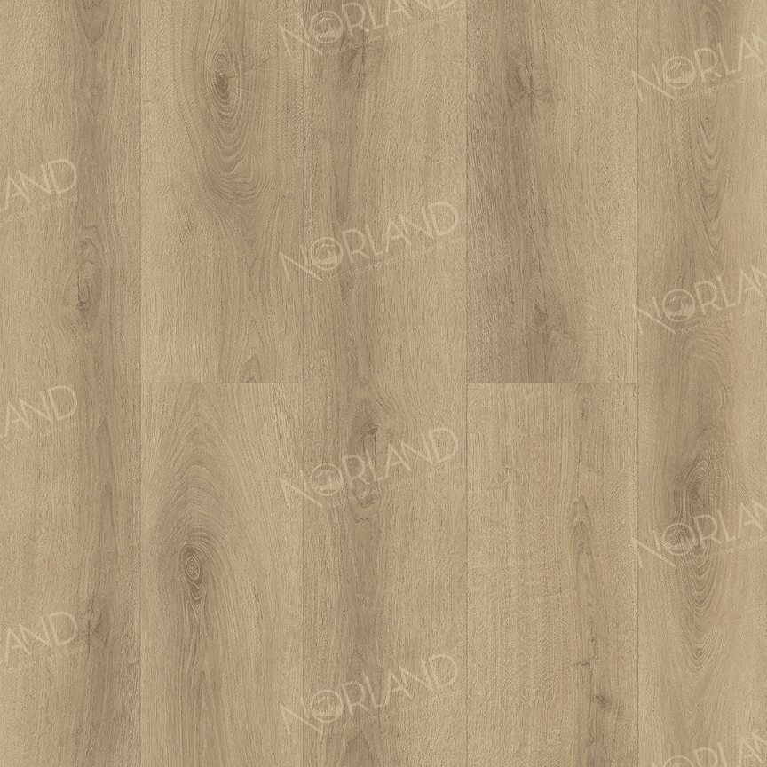 https://bitrix.alpinestore.su/upload/iblock/e9a/kyf3pi11f2cwc2low71d2arvgn7k0t0v/panno_1022_20_11zon.png