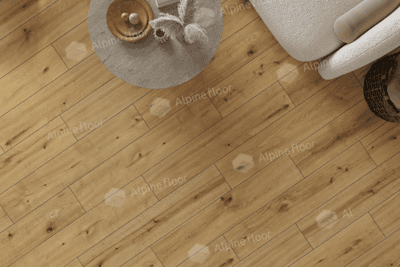https://bitrix.alpinestore.su/upload/iblock/ee3/1lagr9py0o69ki92ukm89lfk3kuvnl8d/62541-_-Pro-Nature-_-Soacha-_-DK8229F28-_-246mm_2.png